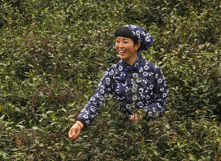 第七个弹壳